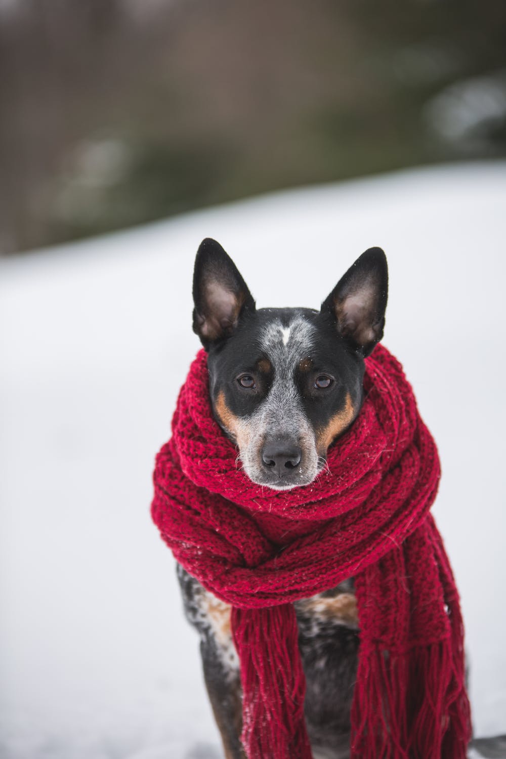 Does The Way You Acquire Fund Marketing Leads Have An Impact On Your Cold Lead Strategy?