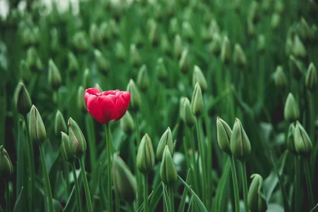 How To Use Digital Marketing To Stand Out In Fund Marketing